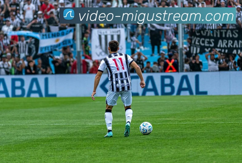 App Interface Preview